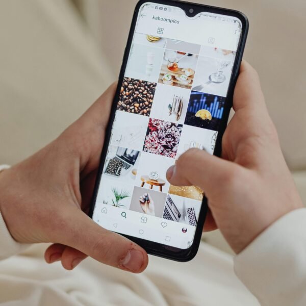 gestion des réseaux sociaux